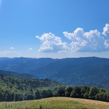 Le Trésor des Vosges Appartement 80m2 idéal famille 4 à 6 personnes Gérardmer Extérieur photo